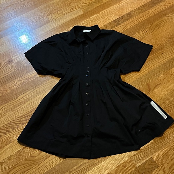Anthropologie x Exquise The Tobie Button-Front Pleated Shirt Dress Mini Sz M NWT - Picture 6 of 13